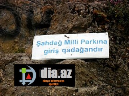 Şahdağ Milli qoruğunda saxta sənədlə QOÇULUQ EDƏNLƏR VAR...