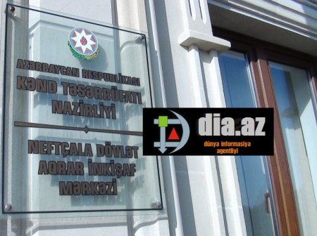 Neftçala DAİM-in direktoru və HSBXİ-nin rəisindən yeni nazirə ŞİKAYƏT