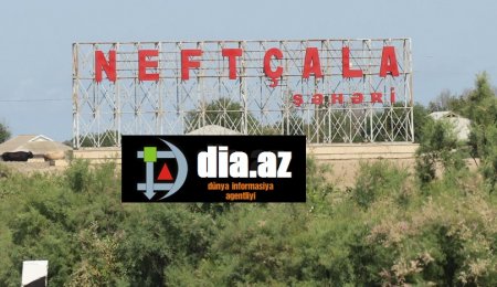 Neftçalada 100-ə yaxın fermerin BİR DƏRDİ VAR...