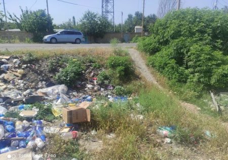 Göyçayda Şəhid adına AŞKAR SAYĞISIZLIQ...