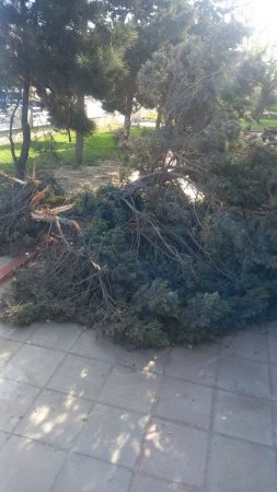 Bakıda məmurun ŞOK ÖZBAŞINALIQLARI...