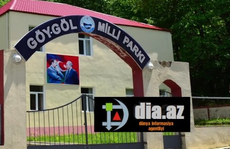 “Bir tərəfdə turistlər, o biri tərəfdə mal-qara”