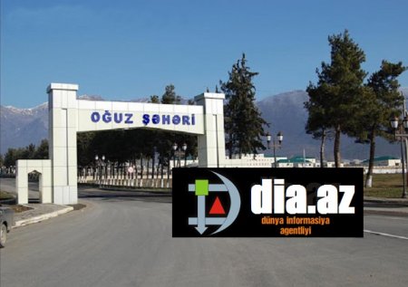 Oğuzda daldalanacaq MEŞƏ QALMAYIB...