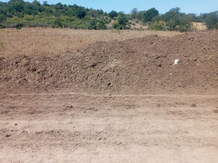 Ana Təbiətə ən azı 2 MİLYONLUQ ZİYAN...
