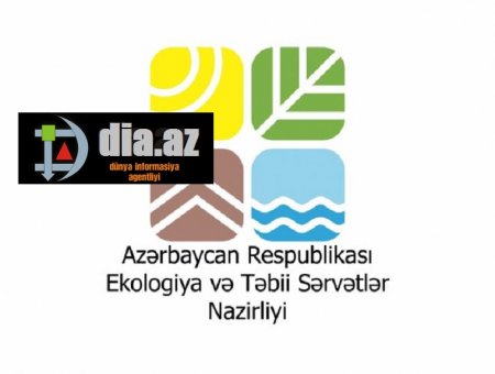 ETSN deyil... əməlli-başlı `KOLXOZ BAZARI`dır...