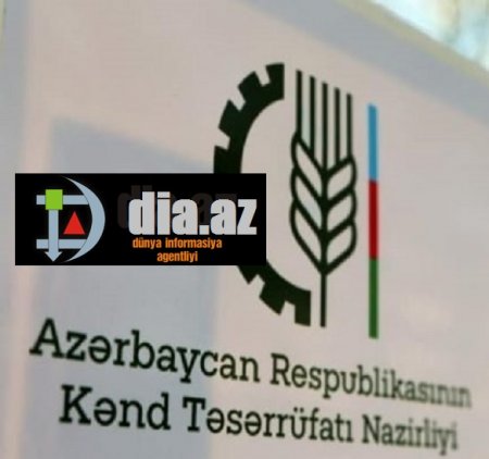 KTN şefi olmaq istəyirdi, amma...
