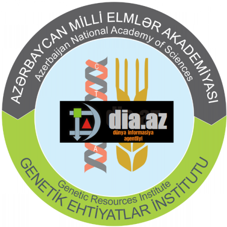 Genetik Ehtiyatlar İnstitutunun seleksiya sahəsində mənzil tikintisi təcrübəsi