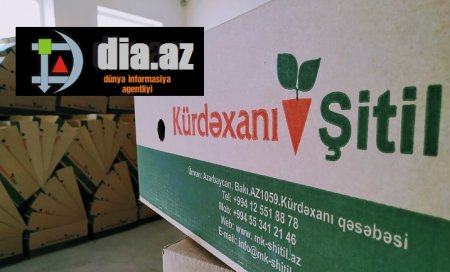 Göyçayda fermerləri milyonlarla manat ZİYANA SALAN KİMLƏRDİR?