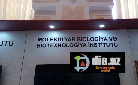 Buralarda dövlətin puluna QƏNİM KƏSİLİBLƏR...