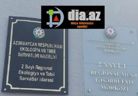 ETSN-də HAVAYI MAAŞ ALAN İDARƏ MÜDİRİ...