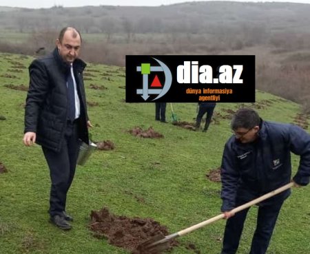 Nazir müavini ilə icra başçısının AĞSU ÖZBAŞINALIĞI...
