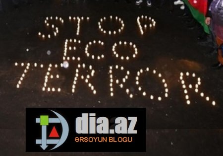 Cəlilabadda EKOTERRORU kim törədir?