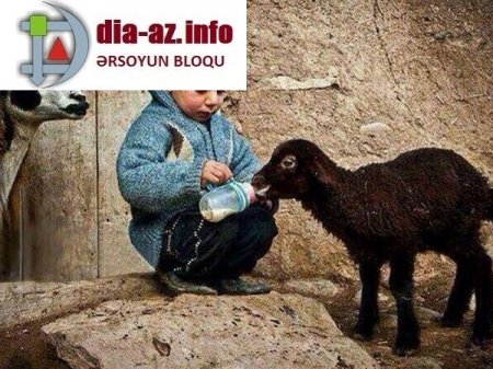 Duyğularımızı sömürən fırıldaqçılar yenə də İŞ BAŞINDA...