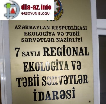 ANA TƏBİƏT Məmmədov qardaşlarının DƏDƏ MALIDIR?