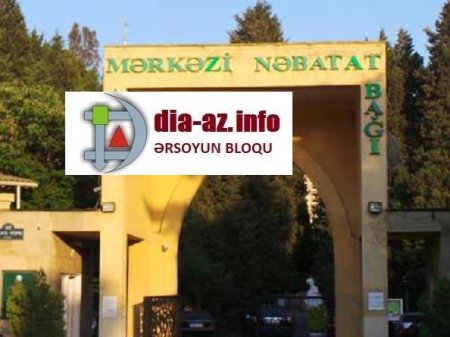 Mərkəzi Nəbatat Bağında Günel Cəfərovaya məxsus MMC-lərlə nə kimi işlər çevrilir?