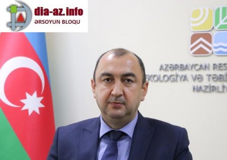 Vüqar Kərimovla iş adamı Tehran Lətifovun işbirliyi Şəkidə nə qədər ağacın kəsilməsinə səbəb olub