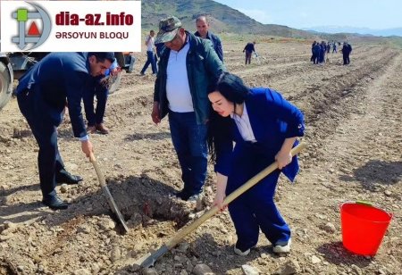 Naxçıvanda rəhbərlər poz verir... əkinçi isə DAD DEYİR...