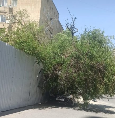 Nizaminin icra başçısı Qazilərin adından BELƏ YARARLANIR...