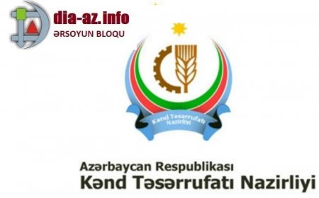"Nazirlər Kabinetinin icazəsi olmadan subsidiya ayrılıb..." "Nazirlər Kabinetinin icazəsi olmadan subsidiya ayrılıb..."