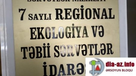 ETSN 7 saylı Ekologiya İdarəsi 17 minə yaxın tingi məhv edəni 6 min manat cərimələdi 