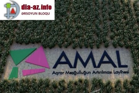 AMAL-ın bəhrəsini daha çox kim gördü...