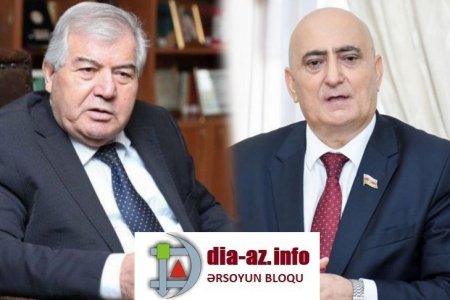 İki deputatın doğulduğu qazsız kənd: Sakinlər hələ də meşədən odun daşıyır 