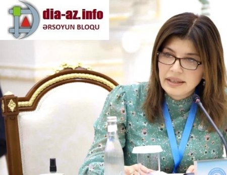Baş nazirin sabiq müavininin deputatlığa NAMİZƏD QIZI...