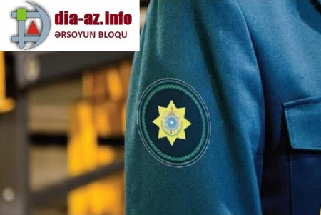Bakı Baş Gömrük idarəsi Elmir Ramazanovun ŞƏXSİ BOSTANIDIR?