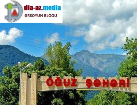 Oğuzda Meşə Mühafizə mühəndisi ağac kəsintisinə görə cərimə pulun niyə ödəmir