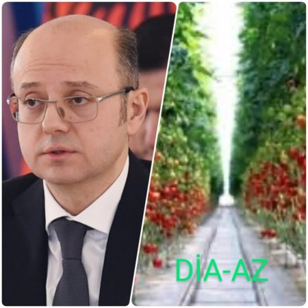 Əmisi oğlu ilə “parnik” salan nazirin pulu batdı 