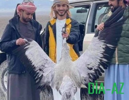 Ana Təbiətimizin BAŞI ÇALMALI QƏNİMLƏRİ...