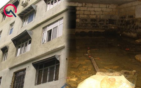 BAŞSIZ YEVLAX: Vətəndaş Allahın ümidinə qalıb...