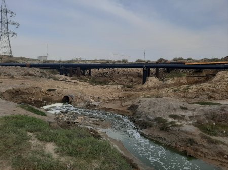 Ceyranbatan və Masazır duz gölləri kanalizasiya ilə necə zəhərlənir?
