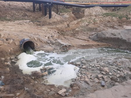 Ceyranbatan və Masazır duz gölləri kanalizasiya ilə necə zəhərlənir?