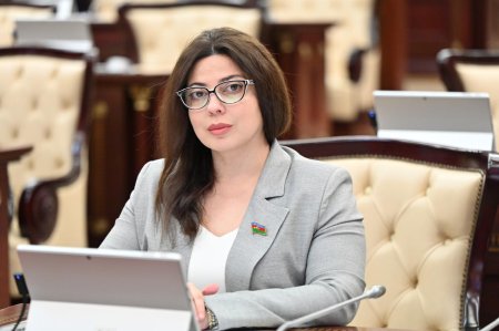 "Bu proses hazırda da mərhələli şəkildə davam etdirilir"